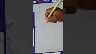 benzyl benzoate structure| benzyl benzoate formula | #Endless_Alchemy #shorts #sanrachanasutra