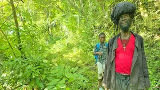 HIGHER HEIGHTS! Jungle Walk with Mokko & Ratty