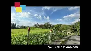 Lote Venta V&iacute;a Armenia Pereira - Venta: $1.032.000.000.