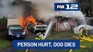 Person hospitalized with burns, dog dies in RV fire near Forest Grove