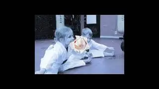 Tykes Taekwondo Classes (Ages 3.5-5) at Synergy Martial Arts | Leaside Martial Arts for Kids