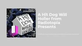 A Hit Dog Will Holler from Radiotopia Presents - Snap Judgment