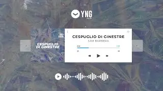 Cespuglio di Ginestre | Sam Barbera | GP 10-6-2023