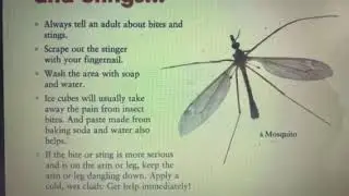 Science grade 3A lesson no 6 First Aid for insect bites and Stings page 204