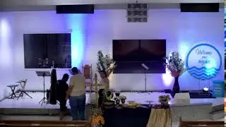 PIBBS Live Stream
