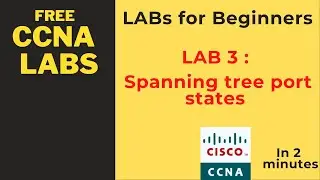 What are cisco spanning tree port states ?/#Cisco#ccna#stp#spanningtree