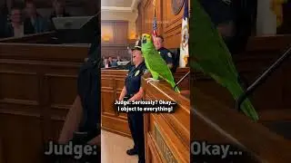 &ldquo;Cute Talking Parrot Steals the Show 🦜💚 | Fun & Adorable Bird Moment&rdquo;#shorts #animalshorts