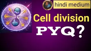 Cell Division NEET PYQ 2010&ndash;2025 | Mitosis & Meiosis One Shot #NEETPreparation #NEETExam #BiologyPYQ