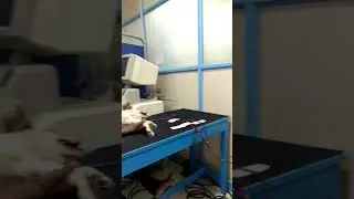 Dog dialysis doing faswal pichan (29th case)