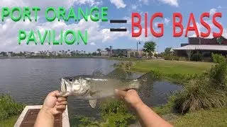 PORT ORANGE PAVILION FISHING=AWESOME!!!!