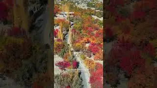 Admiring the beauty of Allah's creation in each color of autumn #letstravelnorth #autumninpakistan