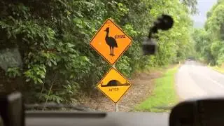 Cape Tribulation - Lost In Australia