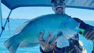 GIANT TUSKY | Weather put it on this weekend | CATCH AND COOK