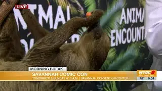 Savannah Comic Con this weekend