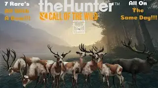 7 Rare Red Deer... Same Day.... Bow Only!!!! #hunting #gaming #cotw