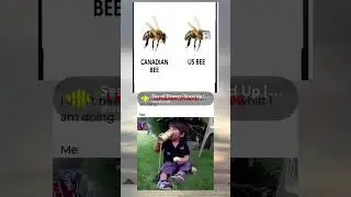 Canadian bee #meme #memes
