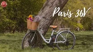 Daymak Paris 36V Electric Bike