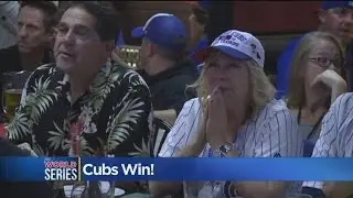 Roseville Fans Celebrate Chicago Cubs World Series Win
