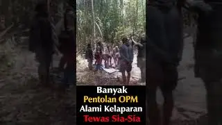 Banyak Pentolan OPM Tewas Sia Sia Akibat Kelaparan