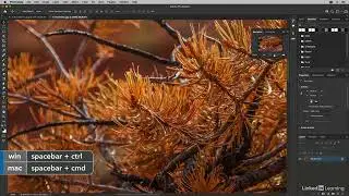 Panning and zooming documents in Photoshop 2022