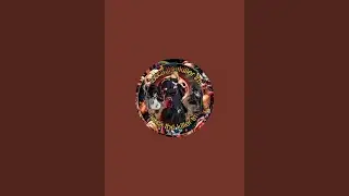coversando e ouvindo musica e divulgando canais dos inscritos está ao vivo! !livepix