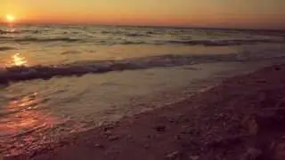 A Week in the Life  | Anna Maria Island Accommodations