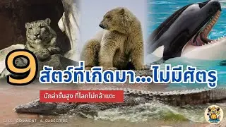 9 ผู้ล่าที่ไม่ต้องพิสูจน์ตัวเอง เหลือเชื่อ!!