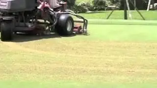 Circle Verticut On Tifeagle Greens