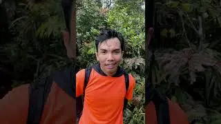 estimated climb of tektok mount salak 2 via ajisaka #mount salak #salakajisaka #bogor #west java