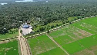 Drone video of rice paddy field