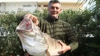 Συνολικά η αρματωσιά για μολύβι φύλακα