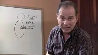 Episodio #1035 ¿Por qué la gente se enferma cuando hace detox?