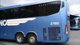 Movimentação rodo. São Mateus-ES , só deu Águia Banca ,04 outubro 2020|WRBUS
