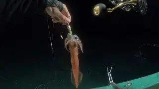 Pescaria de Lulas em Ubatuba, uma pescaria completamente diferente do que estamos acostumados… 🤟🏻😁🎣🦑
