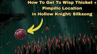 How To Get To Wisp Thicket + Pimpillo Location