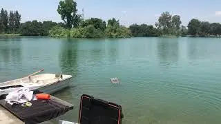 Oxidean marine animal cat rc boat