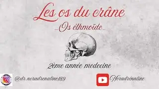 os &eacute;thmo&iuml;de/les os du cr&acirc;ne/2&egrave;me ann&eacute;e medecine/شرح بالدارجة و الرسم