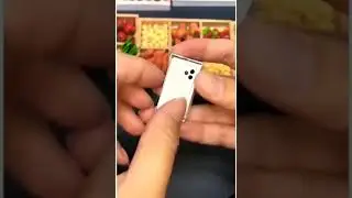 Smallest iphone in World