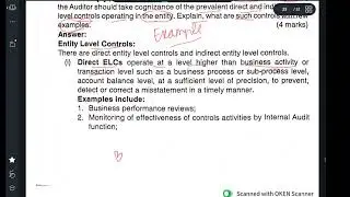 What is entity level control and it types