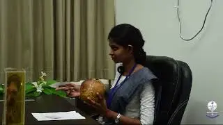 Mock Viva Voce Examination in Forensic Medicine (2 of 2 for Undergraduates)