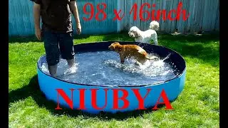 Biggest Portable Dog Pool we could order from Amazon | Niubya