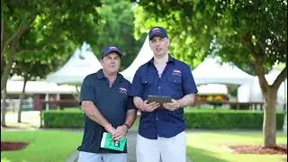 2026 Magic Millions Yearling Parade - Griffiths Racing