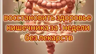 Восстановить здоровье кишечника за 3 недели без лекарств