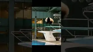 Hilarious & Adorable Animal Olympics: Diving Showdown! #AnimalOlympics #DivingCompetition #Panda