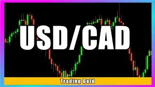 USD/CAD 31 January 2022 Daily Forecast Outlook Trading Gold Strategy