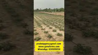 Value Addition to Farming Economy in India #farming  #agriculture  #horticulture