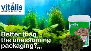 Is this Fish Food better than the packing look? Vitalis first look. + GIVEAWAY details. 