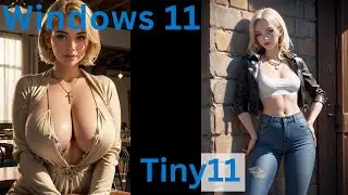 How To Make Tiny11 | Windows 11 Debloat