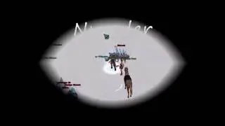 Metin2 BossBasti .vs. Neuni, Flammenking und Gelber Tigergeist