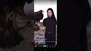 Chinese Eagle